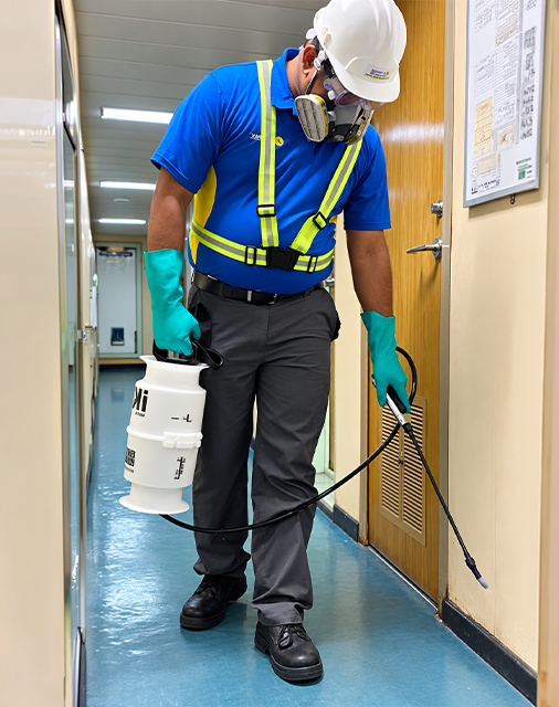 Pest Control Expert