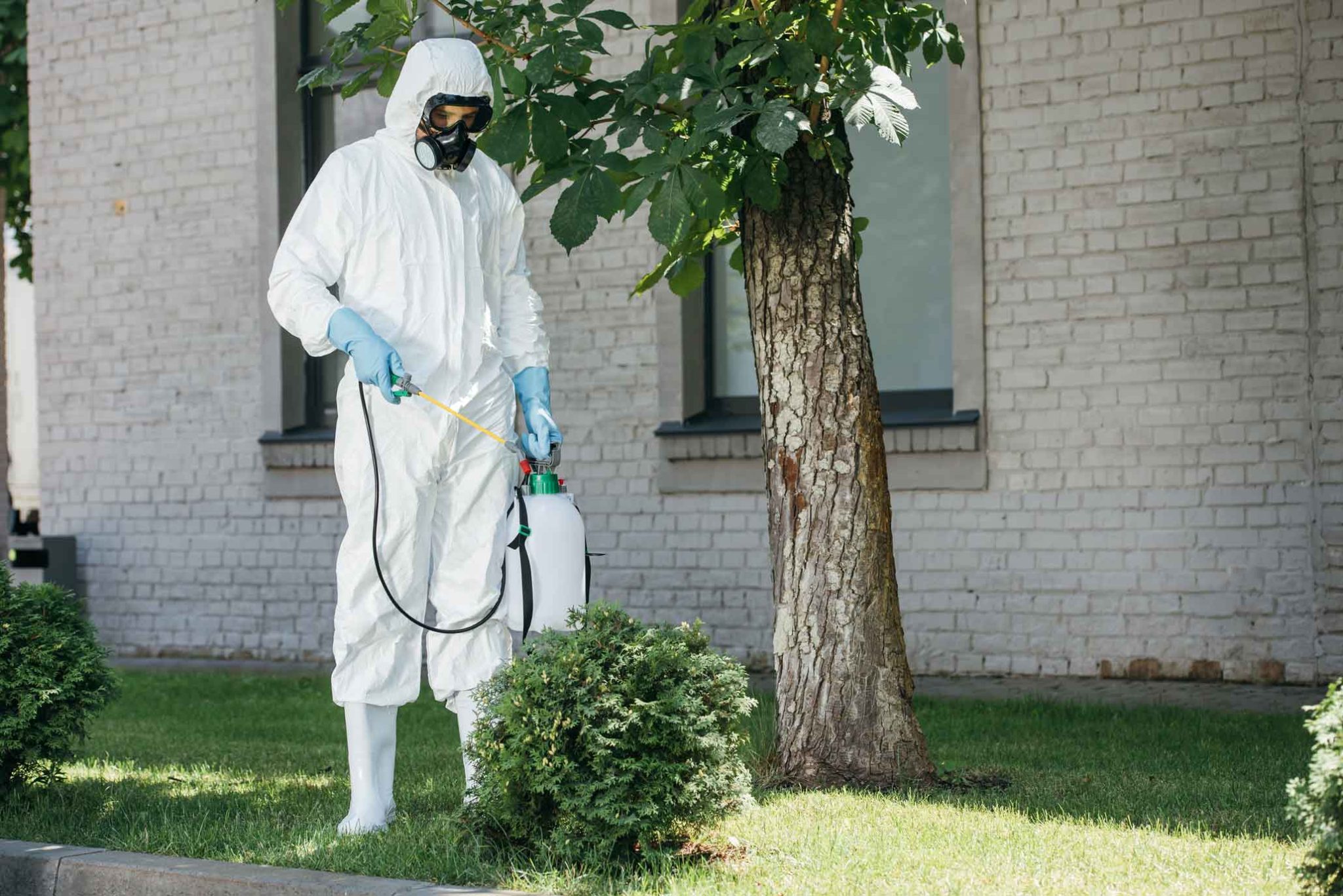 Pest Control Worker
